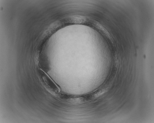 X0000081300307200701251724