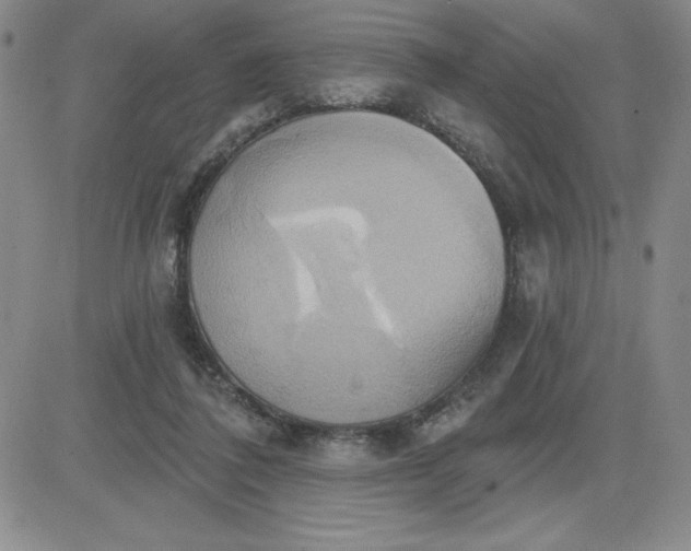 X0000081300308200701251724