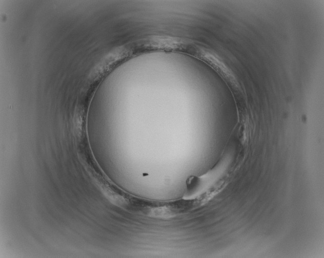 X0000081300309200701251724