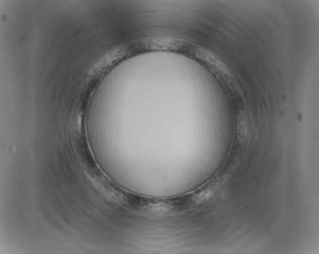 X0000081300310200701251724