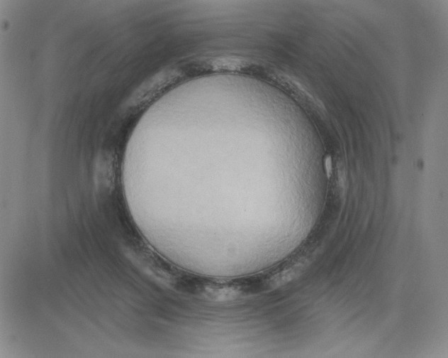 X0000081300311200701251724