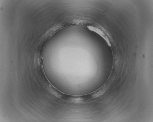 X0000081300313200701251724