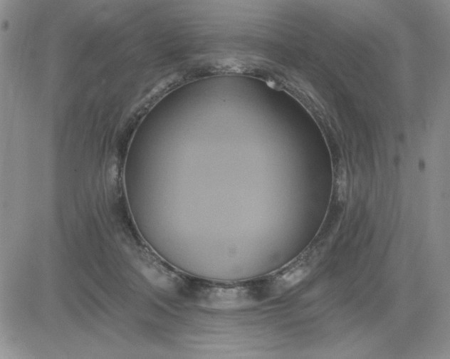 X0000081300314200701251724