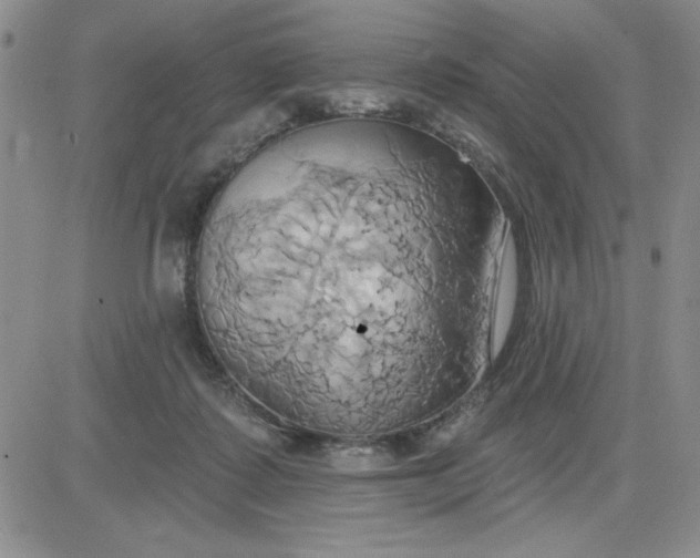 X0000081300315200701251724