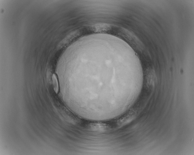 X0000081300316200701251724