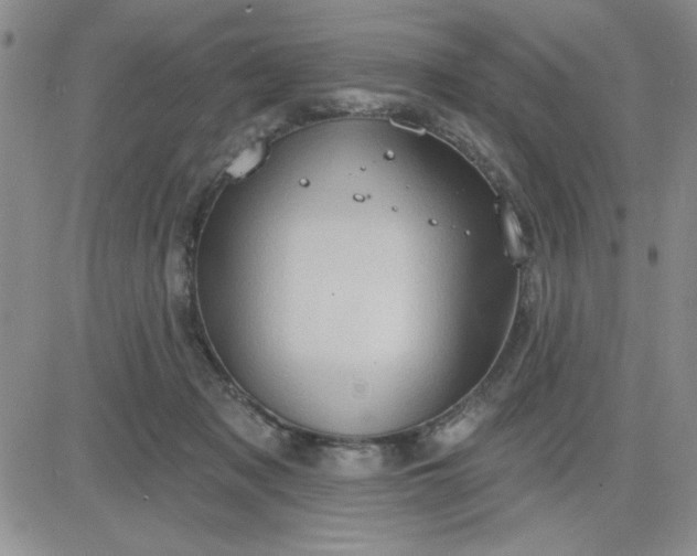 X0000081300317200701251724