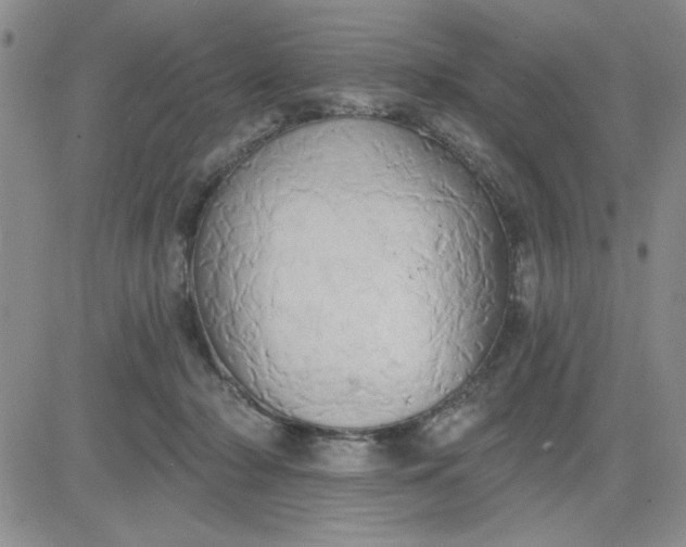 X0000081300318200701251724