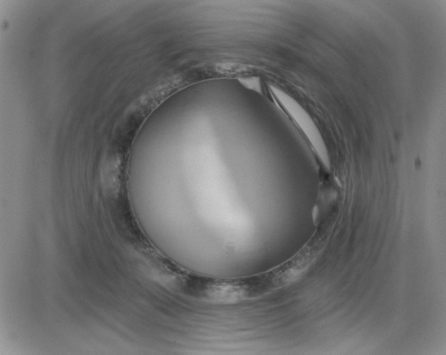 X0000081300319200701251724