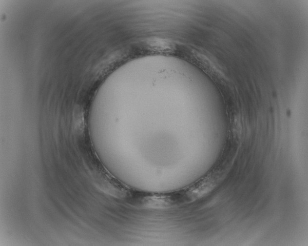 X0000081300320200701251724