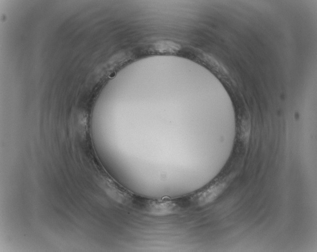 X0000081300321200701251724