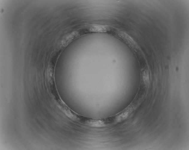 X0000081300322200701251724