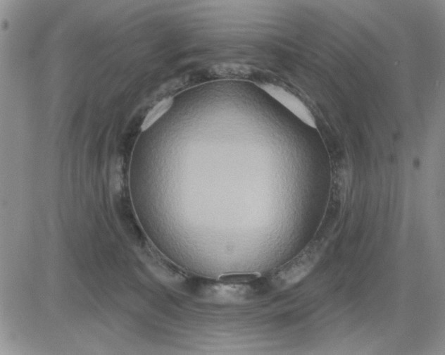 X0000081300323200701251724