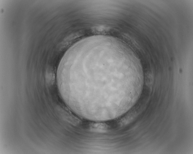 X0000081300324200701251724