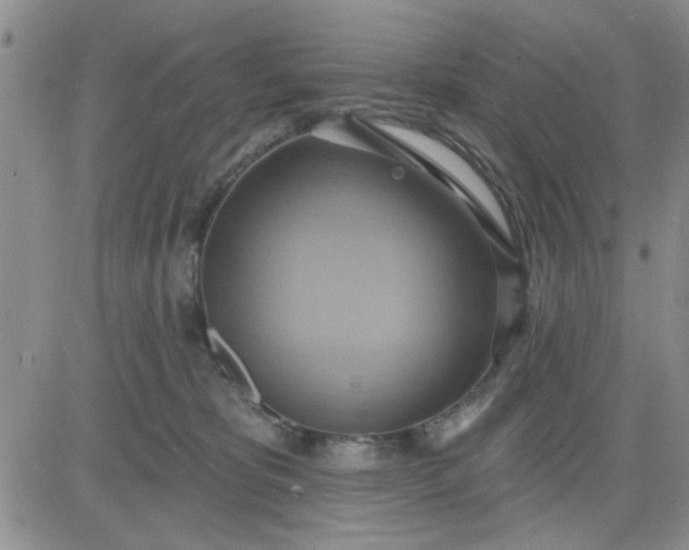 X0000081300325200701251724