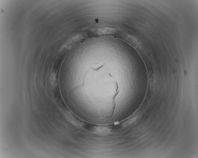 X0000081300327200701251724