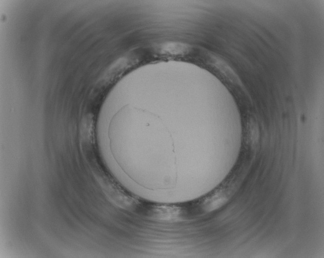 X0000081300328200701251724