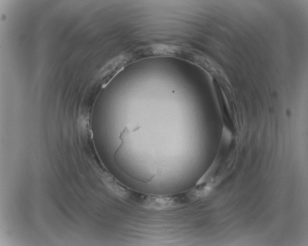 X0000081300329200701251724