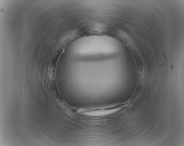 X0000081300331200701251724