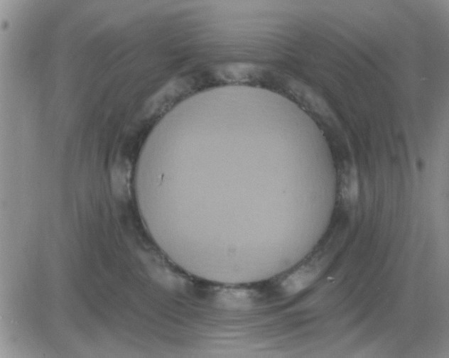 X0000081300332200701251724