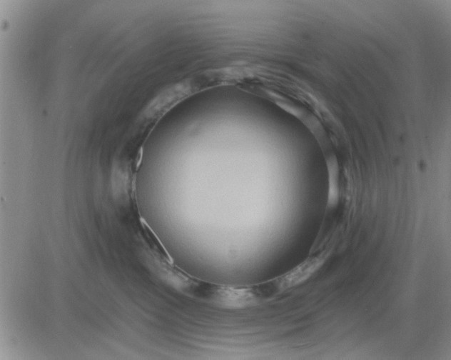 X0000081300333200701251724