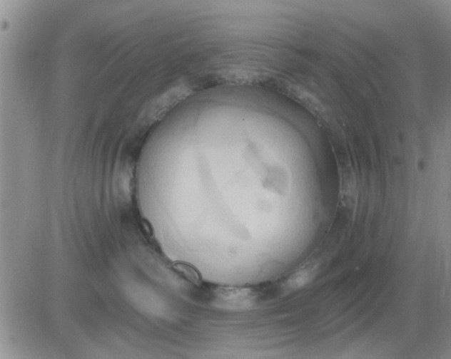 X0000081300334200701251724