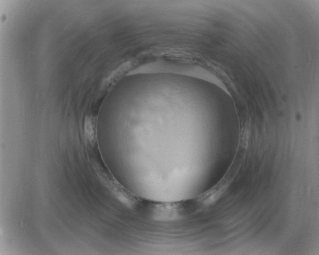 X0000081300335200701251724