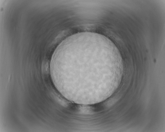 X0000081300336200701251724