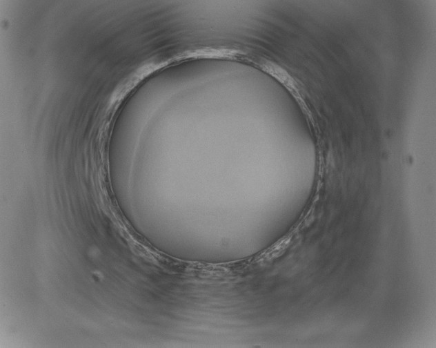 X0000081300337200701251723