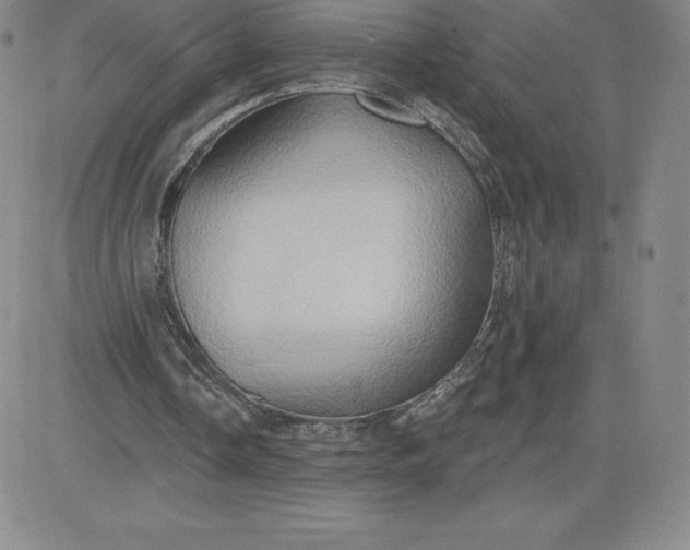 X0000081300338200701251723