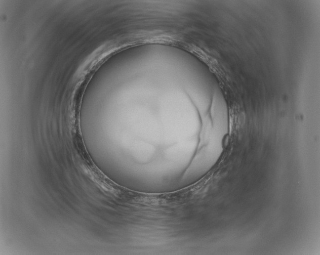 X0000081300339200701251723