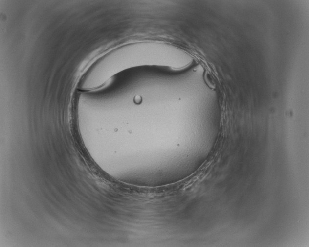 X0000081300340200701251723