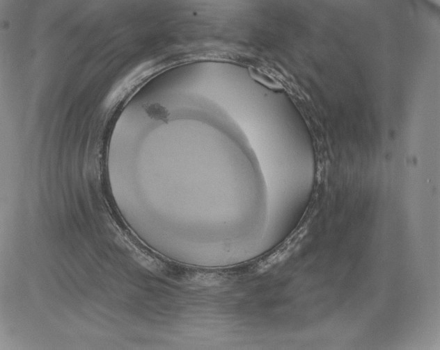 X0000081300341200701251723