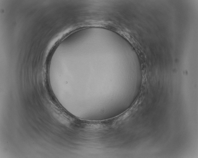 X0000081300342200701251723