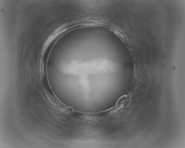 X0000081300343200701251723