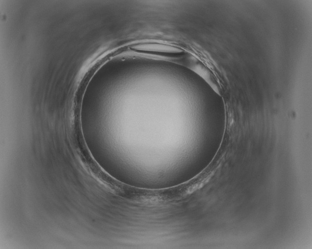 X0000081300344200701251723