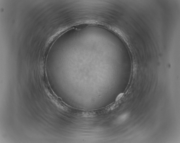 X0000081300345200701251723