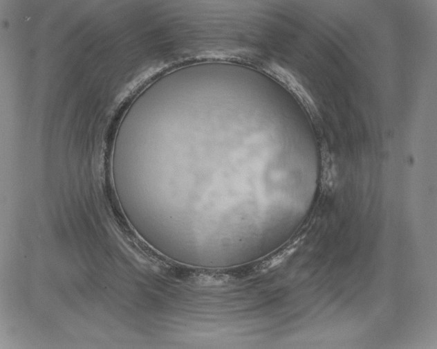 X0000081300346200701251723