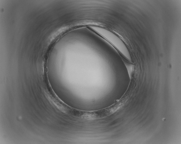 X0000081300350200701251723