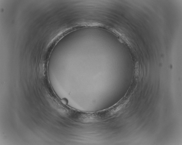 X0000081300351200701251723