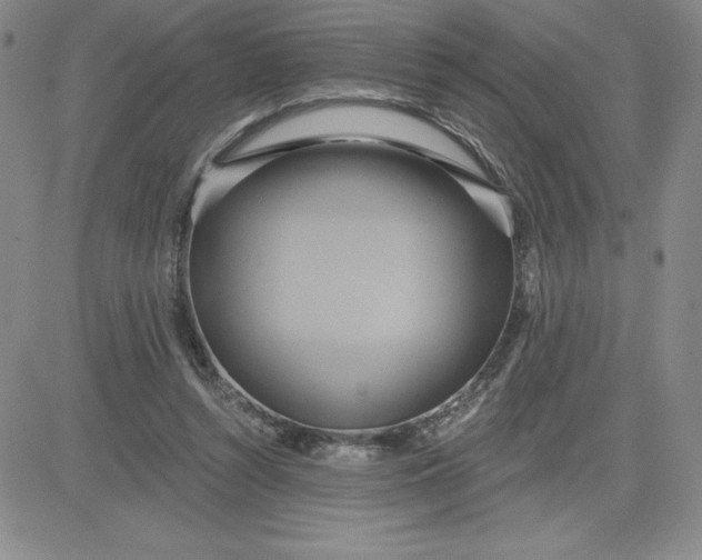 X0000081300352200701251723