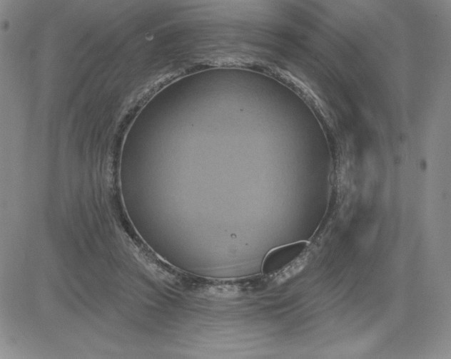 X0000081300353200701251723