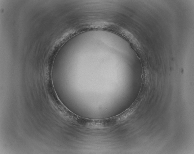 X0000081300354200701251724