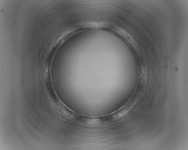 X0000081300355200701251724