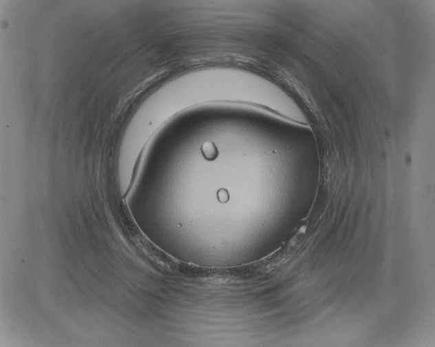 X0000081300356200701251724