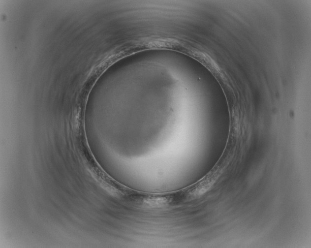 X0000081300357200701251724