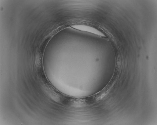 X0000081300359200701251724