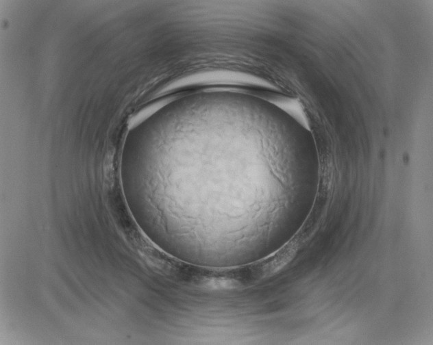 X0000081300360200701251724