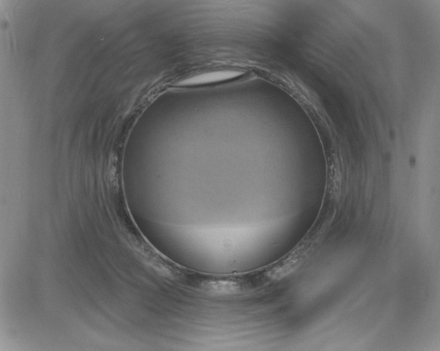 X0000081300361200701251724