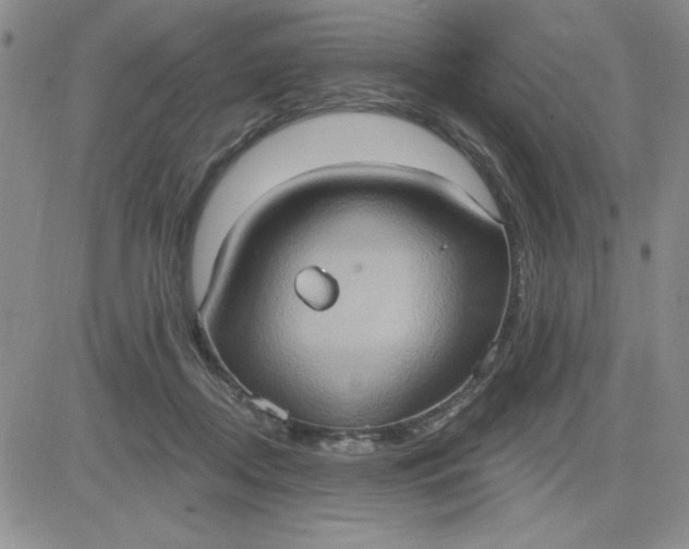 X0000081300362200701251724