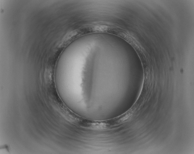 X0000081300363200701251724